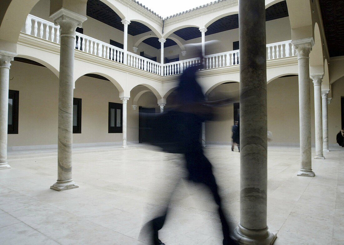 Picasso Museum. Malaga. Andalusia, Spain.