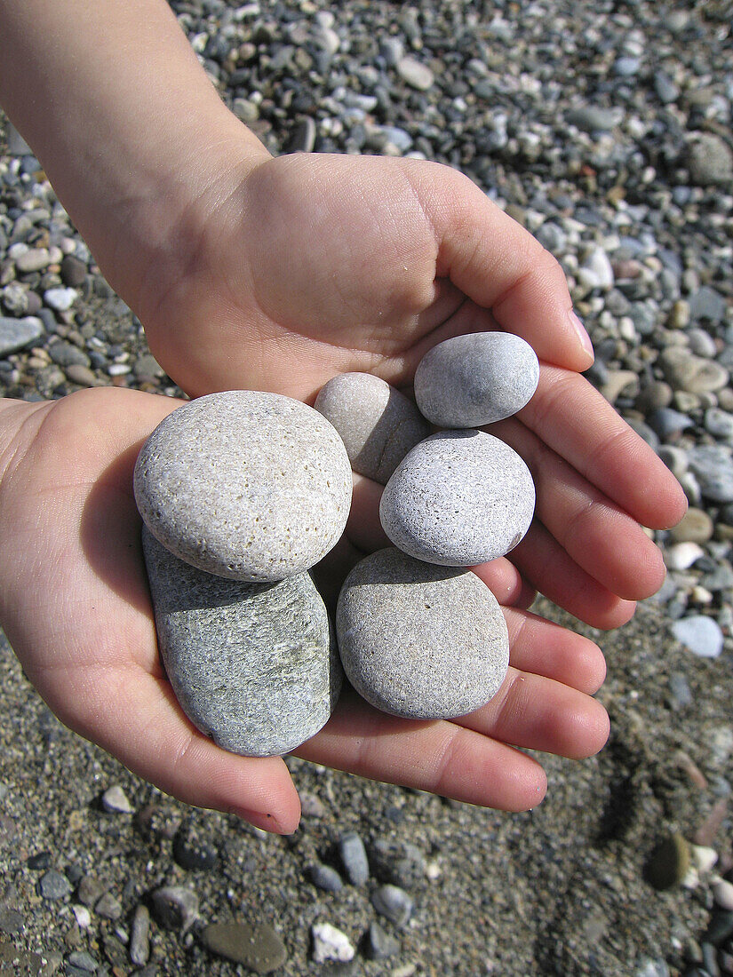 4 year old girl holding rocks on beach