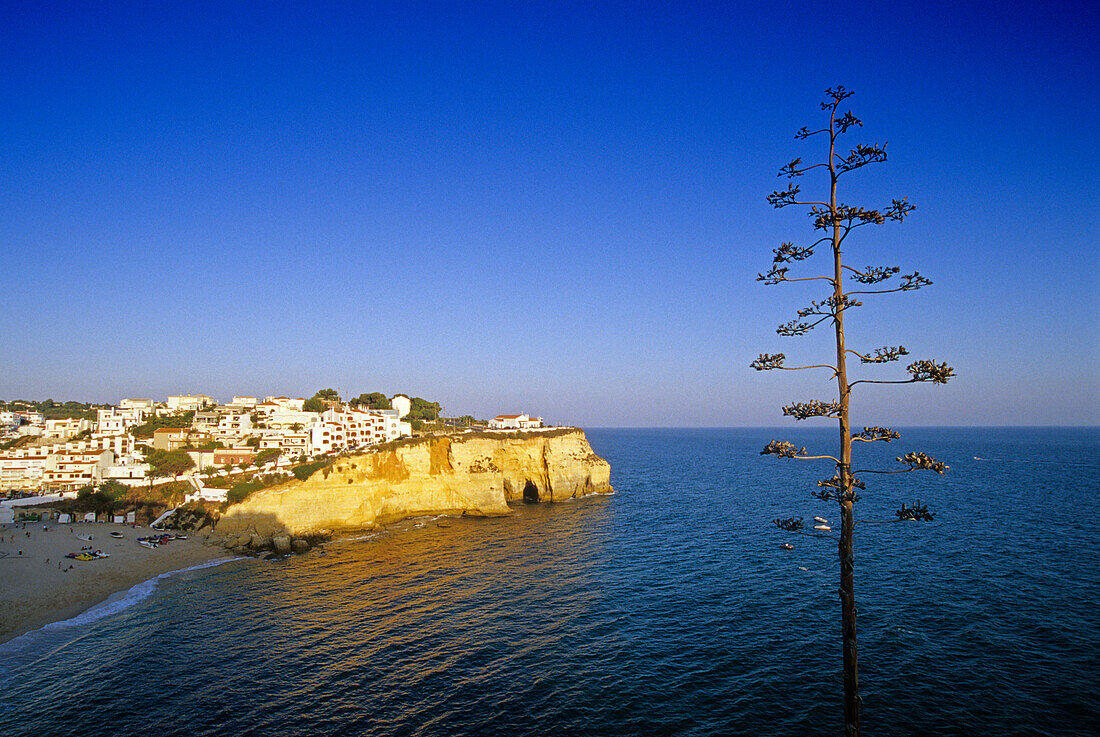 Blick auf die Küstenstadt Carvoeiro unter blauem Himmel, Algarve, Portugal, Europa