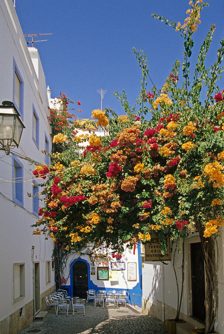 Alley in the Old Town under blue sky, Albufeira, Algarve, Portugal, Europe