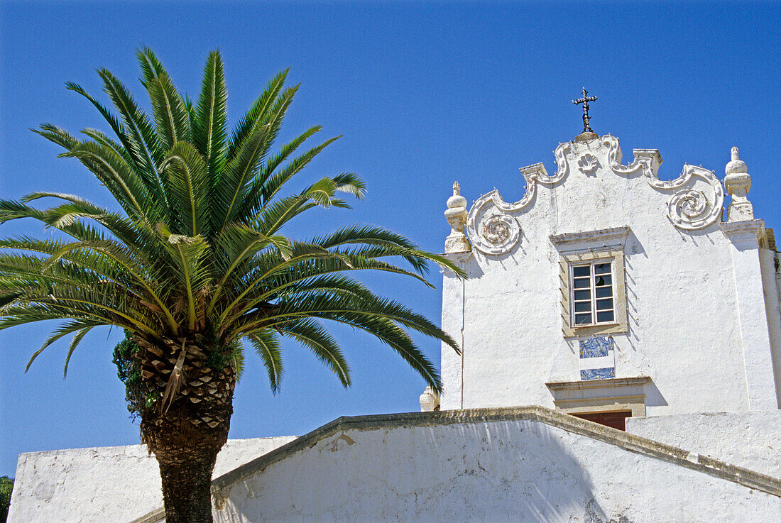 Church and palm tree under blue sky, Albufeira, Algarve, Portugal, Europe