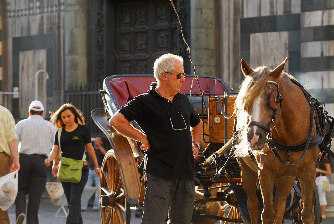 Coachman and horse at the Piazza del Duomo, Florence, Tuscany, Italy, Europe