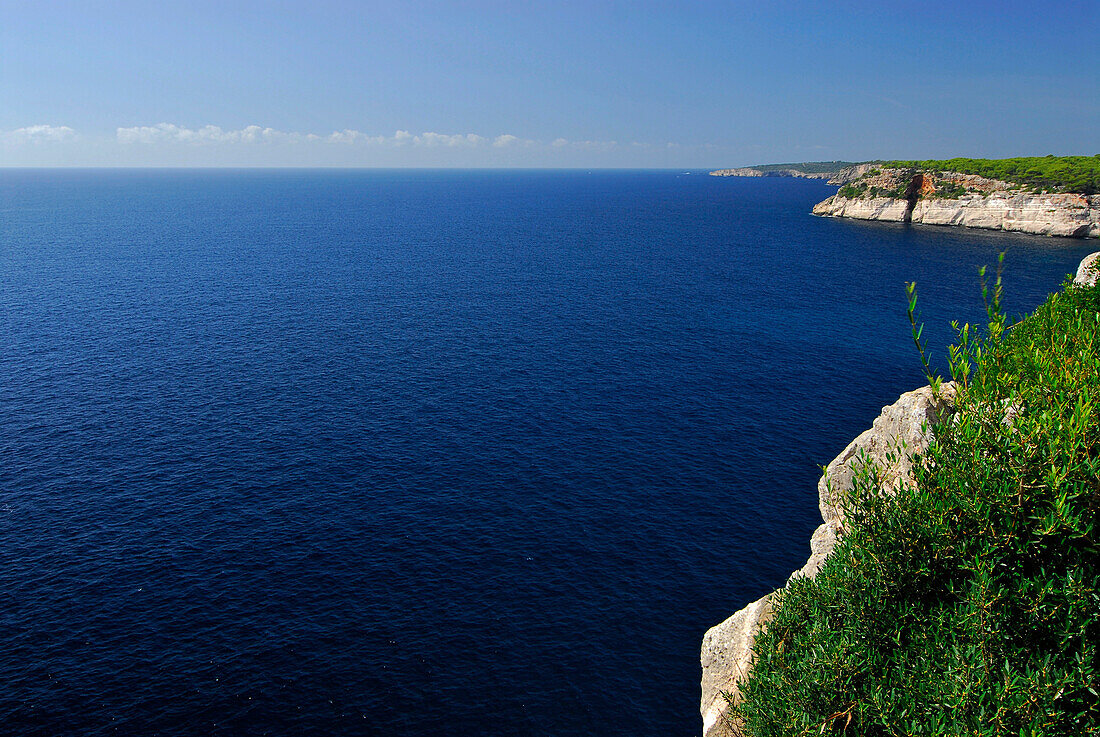 Felsenküste im Süden an der Cala Galdana, Menorca, Balearen, Spanien