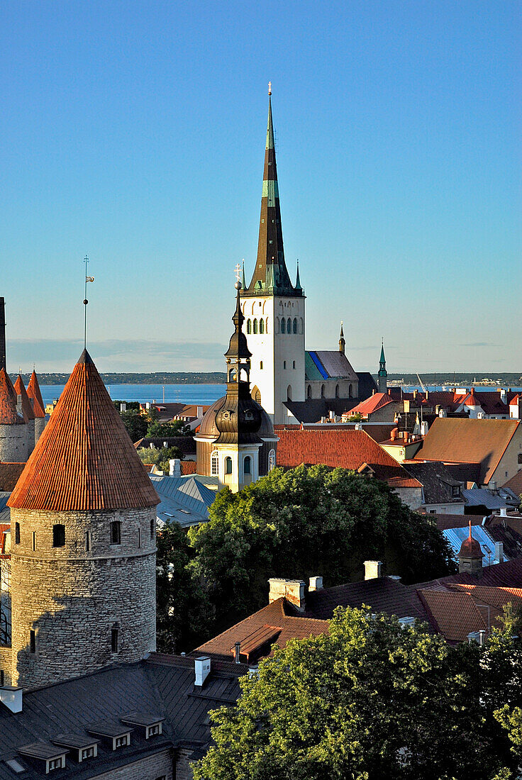 View from the cathedral hill, Toompea, towards the lower old town with city walls and St. Olafs church, Tallinn, Estonia