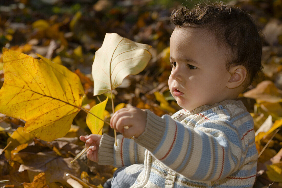 Kind spielt im Herbstlaub, Deutschland