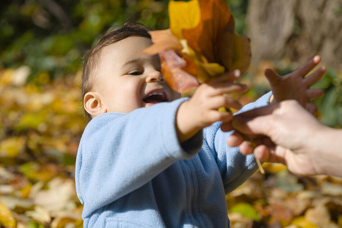Kind spielt im Herbstlaub, Deutschland