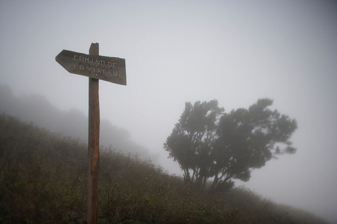 Direction sign, hiking trail, Camino de la Virgin, El Hierro, Canary Islands, Spain