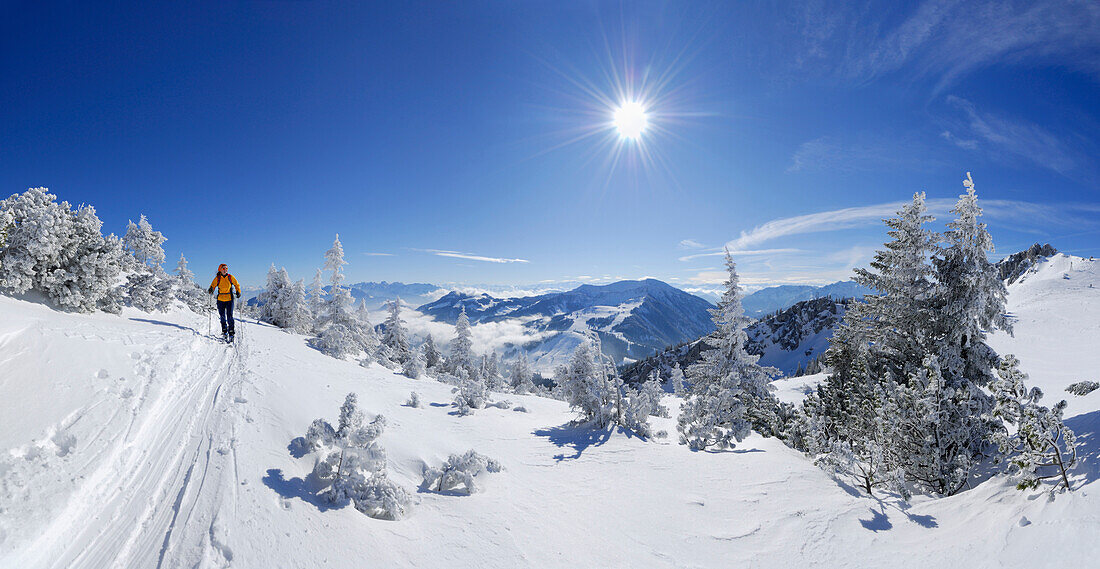 Skitourgeherin an der Lacherspitze, Mangfallgebirge, Bayerische Alpen, Oberbayern, Bayern, Deutschland