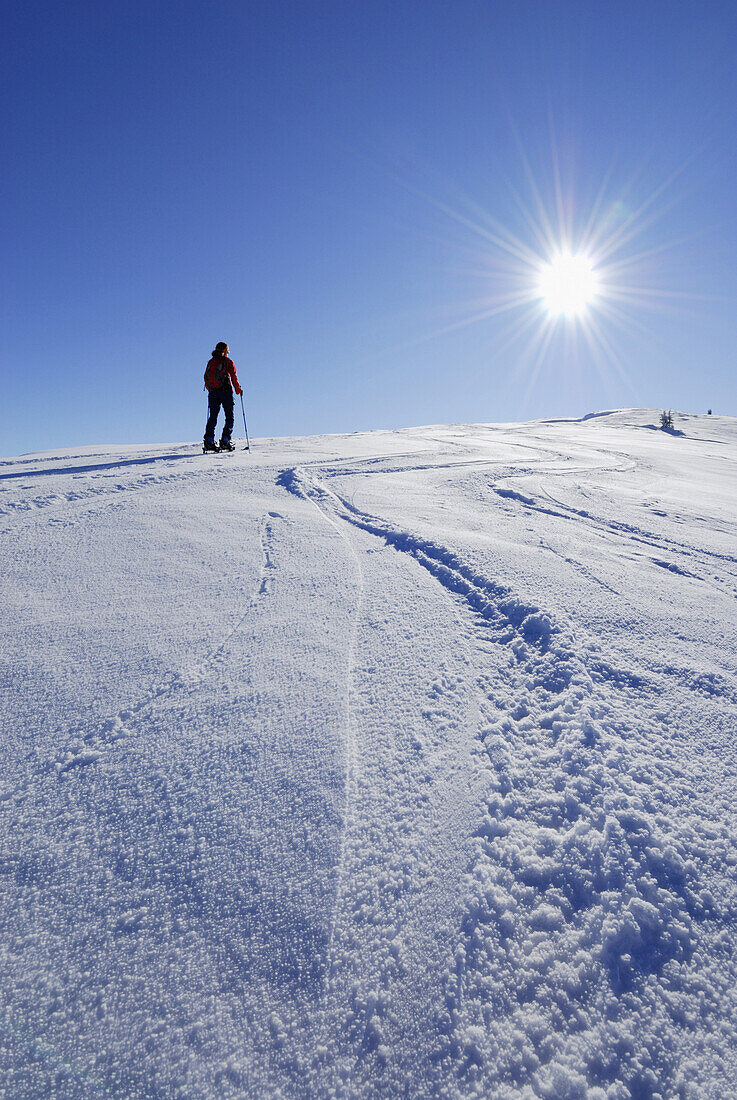 Skitourgeherin beim Aufstieg, Lodron, Kitzbüheler Alpen, Tirol, Österreich