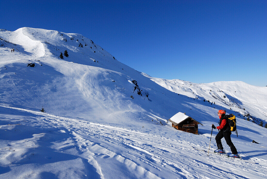 Female backcountry skier ascending, Brechhorn, Kitzbuehel range, Tyrol, Austria