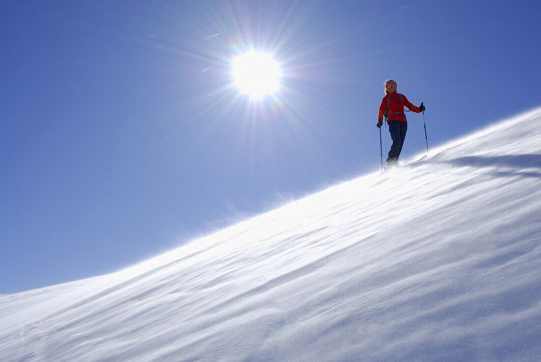 Skitourgeherin auf windverblasener Schneefläche, Großer Gabler, Eisacktal, Dolomiten, Trentino-Südtirol, Italien