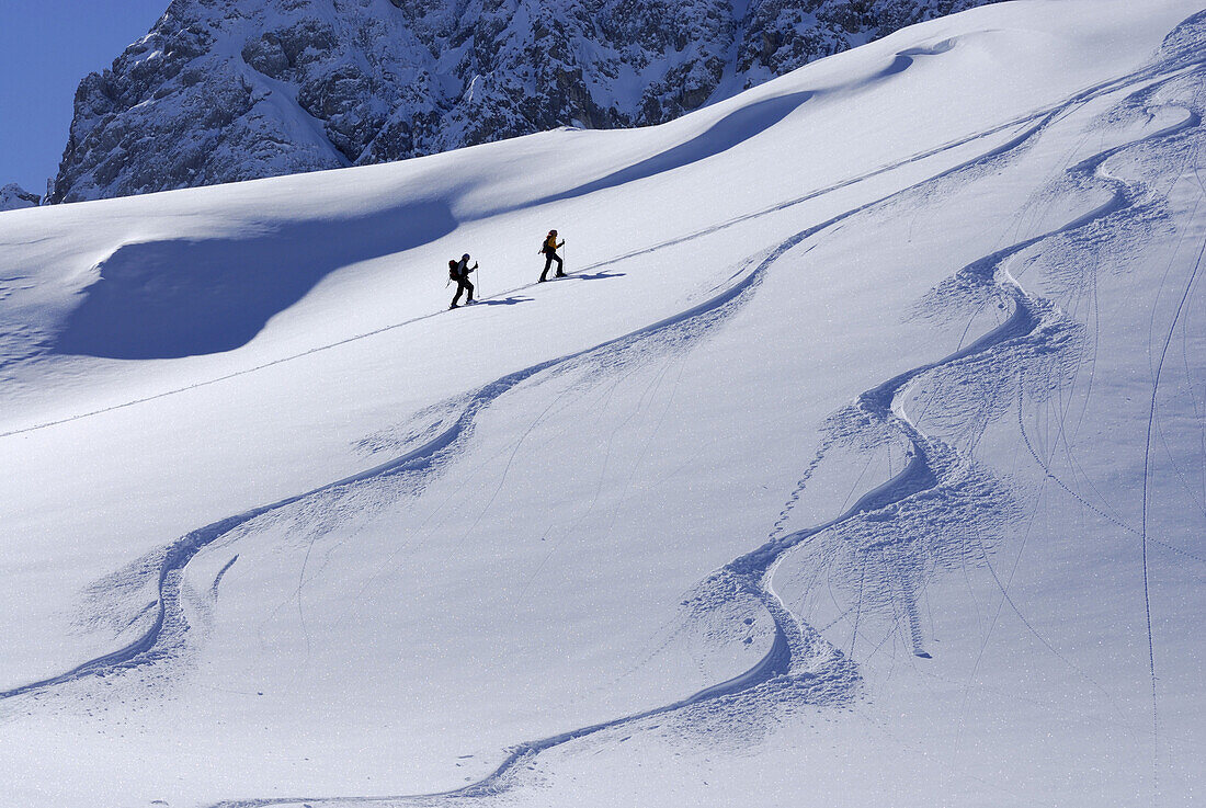 Two backcountry skiers ascending, ski tracks in foreground, Tajatoerl, Mieminger range, Tyrol, Austria