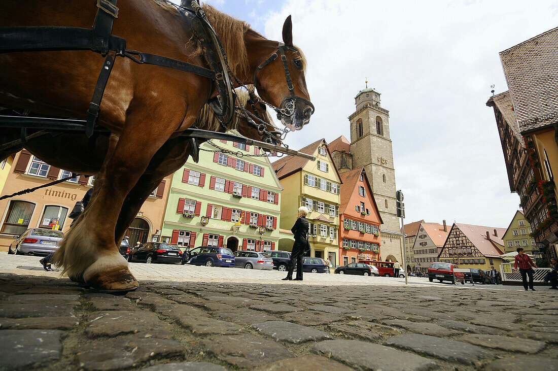 View to minster St. Georg, Dinkelsbuehl, Middle Franconia, Bavaria, Germany