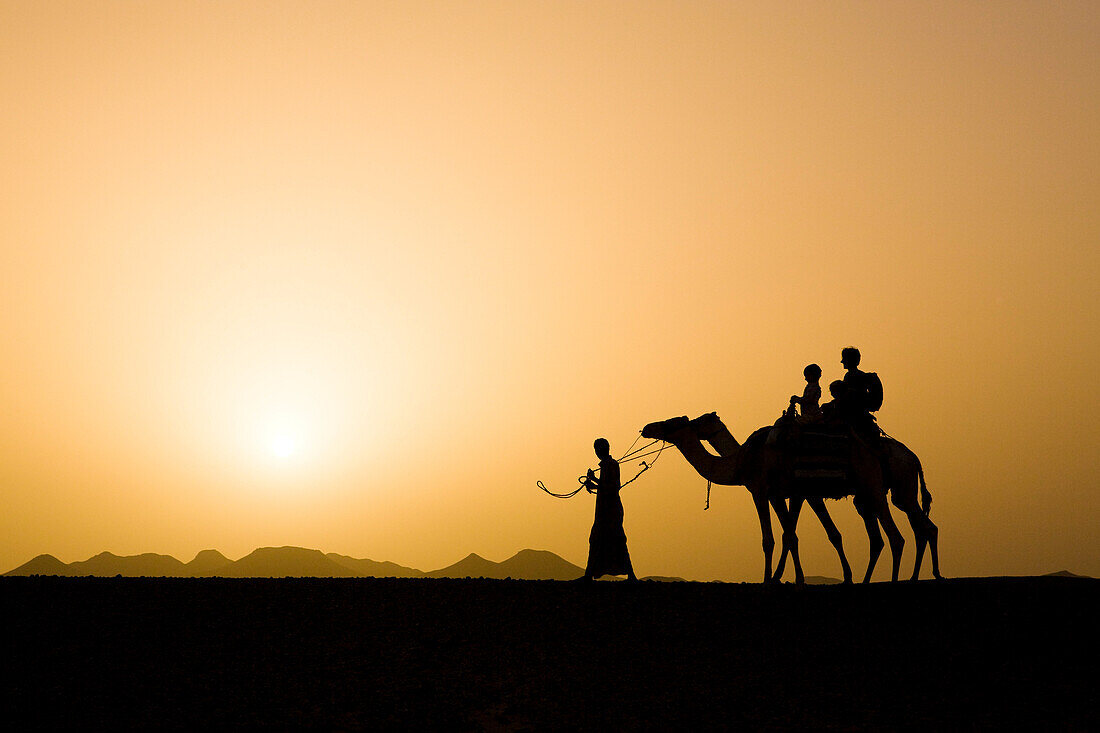 Ein Mann, Beduine führt zwei Kamele mit Touristen, Mutter mit zwei Kinder, Sonnenuntergang, Wüste von Marsa Alam, Rotes Meer Ägypten