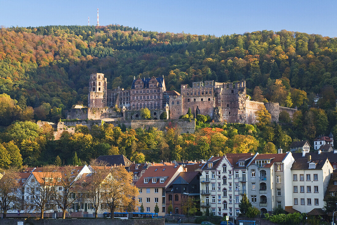 Blick auf die Altstadt mit Heidelberger Schloss, Heidelberg, Baden-Württemberg, Deutschland