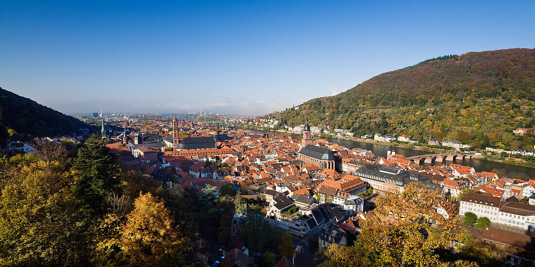 View over Heidelberg at river Neckar, Baden-Wuerttemberg, Germany