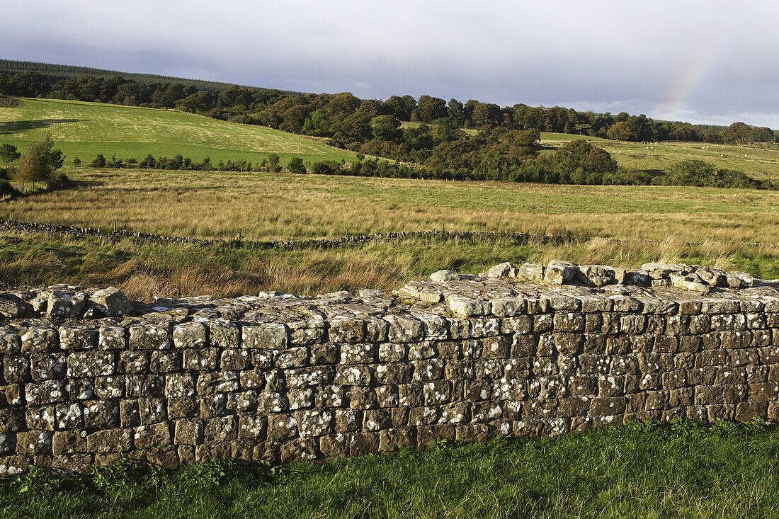Hadrians Wall, Lake District, Cumbria, UK