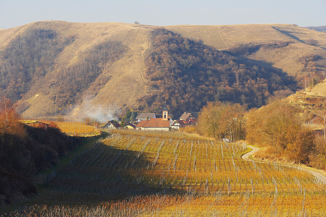 Winter, Blick auf Vogtsburg und Badberg, Kaiserstuhl, Baden-Württemberg, Deutschland, Europa