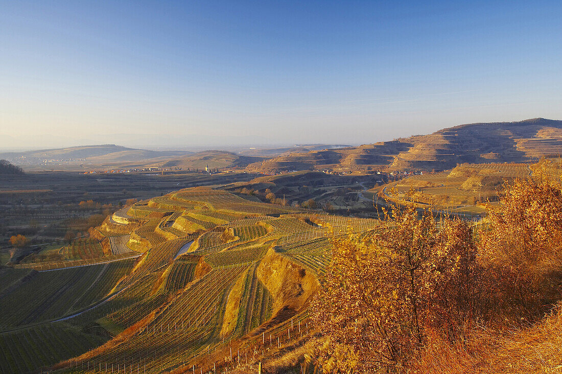 Weinberge am Kaiserstuhl, Baden-Württemberg, Deutschland, Europa