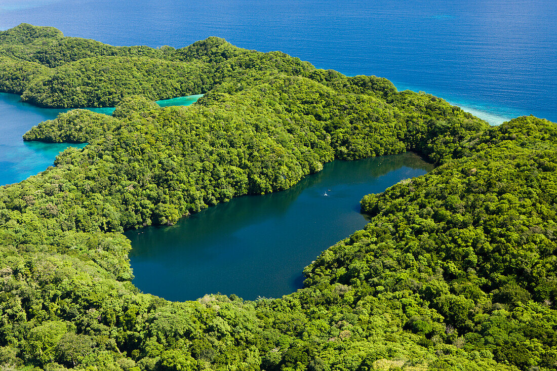 Aerial View of Jellyfish Lake of Palau, Micronesia, Palau
