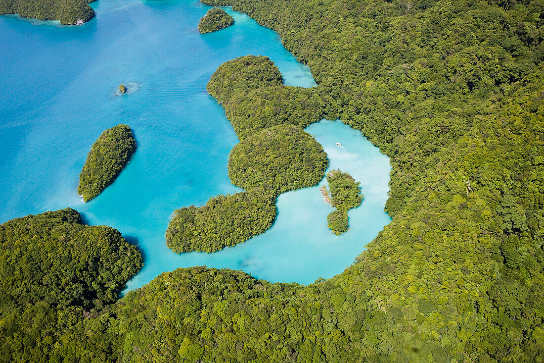 Inselwelt von Palau, Mikronesien, Palau