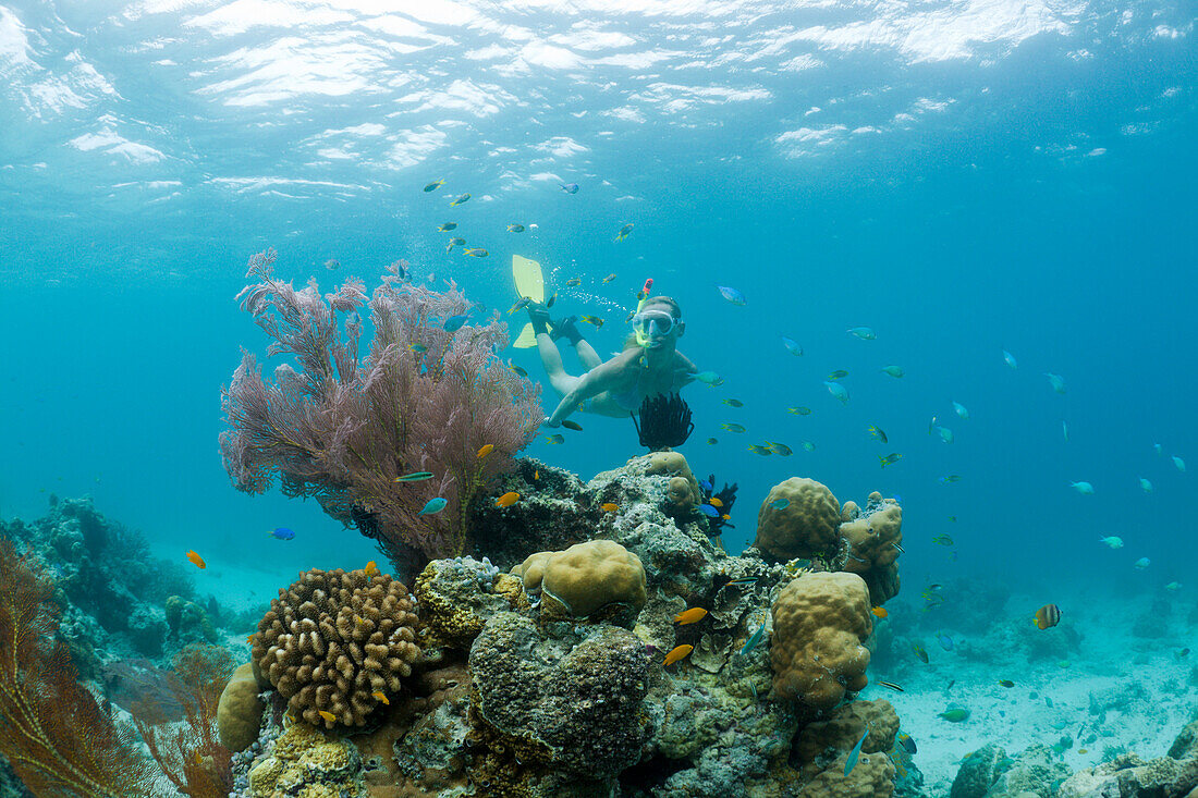 Snorkeling in Palau, Micronesia, Palau