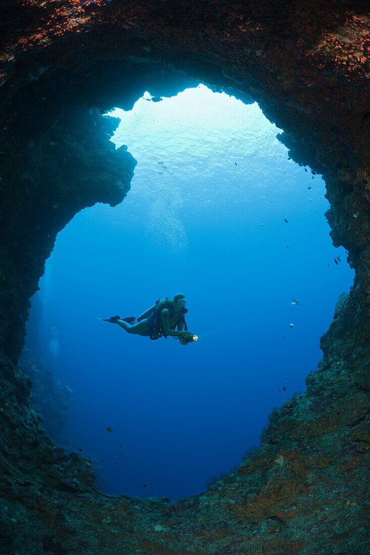 Taucher in Blue Hole Unterwasser-Hoehle, Mikronesien, Palau