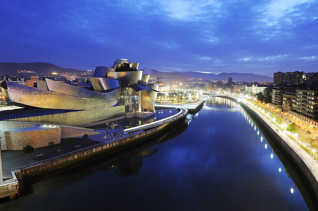 Guggenheim Museum, Bilbao. Biscay, Basque Country, Spain