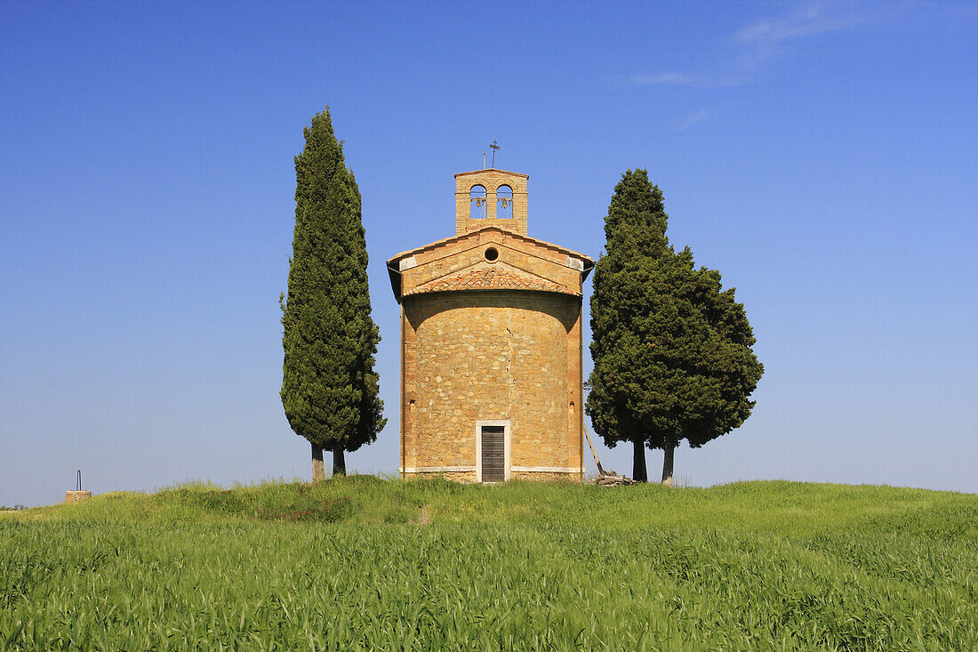 Chapel Vitaleta, Cypress, Italian Cypress, Cupressus sempervirens, cypresses, hill countryside, agricultural landscape, spring, Val d Orcia, Tuscany, Italy