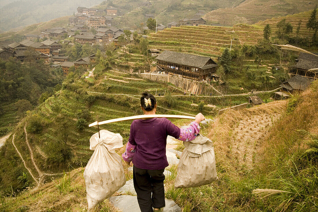 Rice terraces in Longji, Guangxi, China