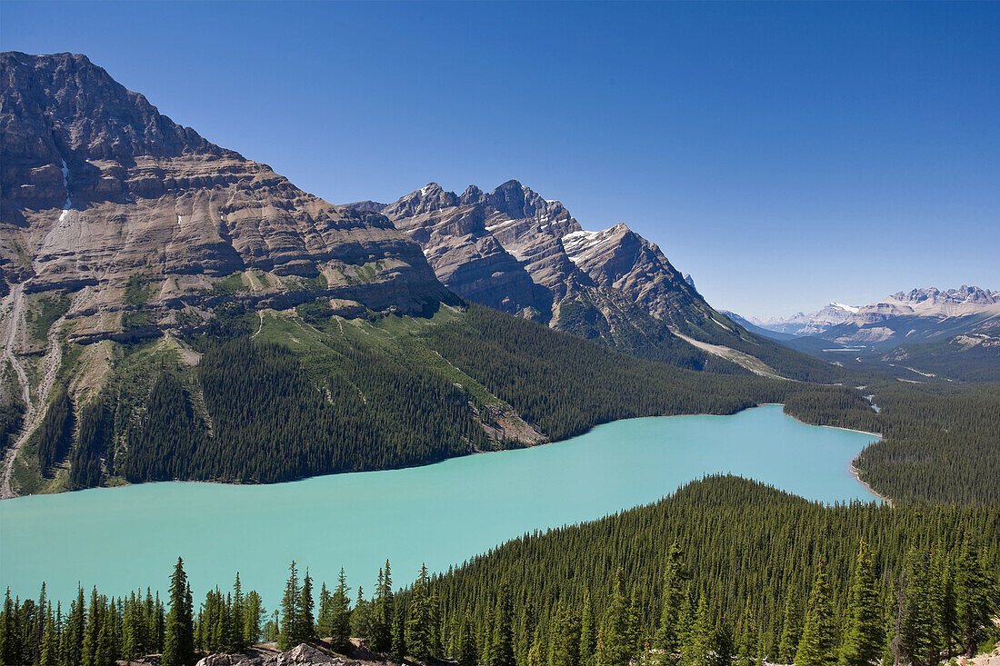 Peyto Lake, Icefields Parkway, Alberta, Canada