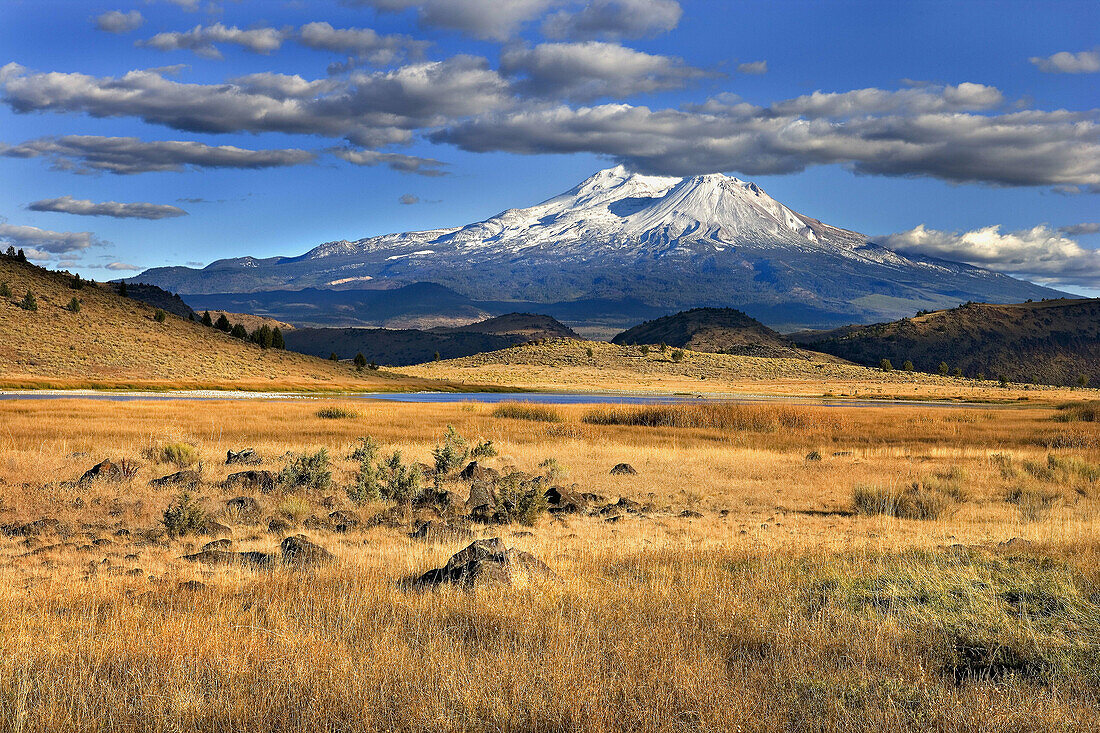 Autumn grasses in prairie with Mt. Shasta in the distance, California, USA