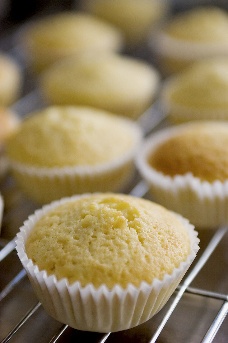 Little golden cupcakes, freshly baked in white cases, sit cooling on a silver rack.