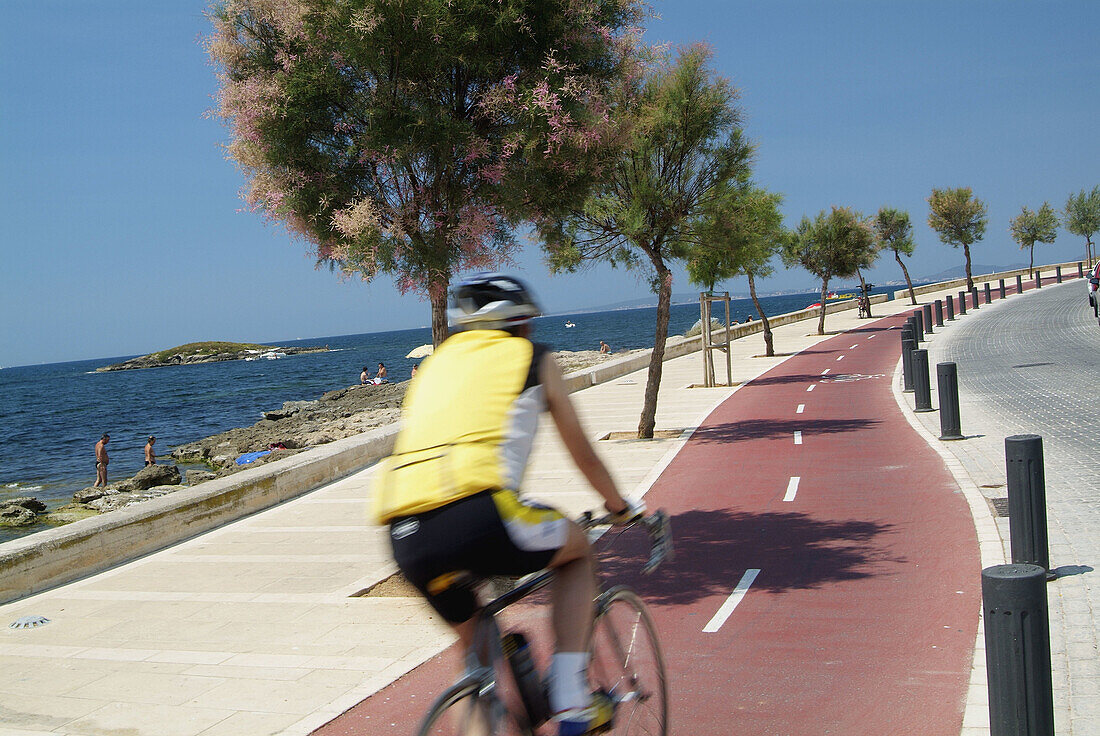 Europa, Spanien, Balearen, Mallorca, Platja de Palma, Can Pastilla, Radweg entlang der Küste; Radfahrer