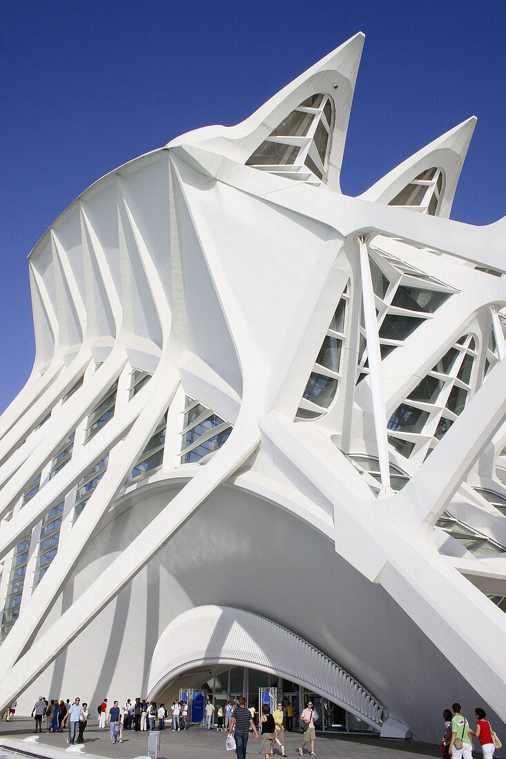 Museo of Sciences Príncipe Felipe, City of Arts and Sciences by S. Calatrava. Valencia, Comunidad Valenciana, Spain