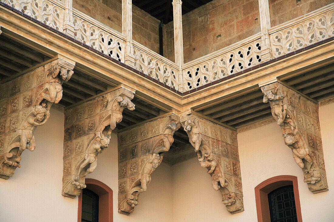 Spain, Castilla Leon, Salamanca, Palacio de Fonseca palace