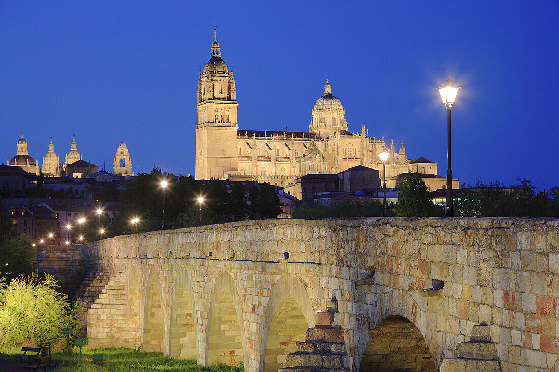 Spain, Castilla Leon, Salamanca, Cathedral, Roman Bridge
