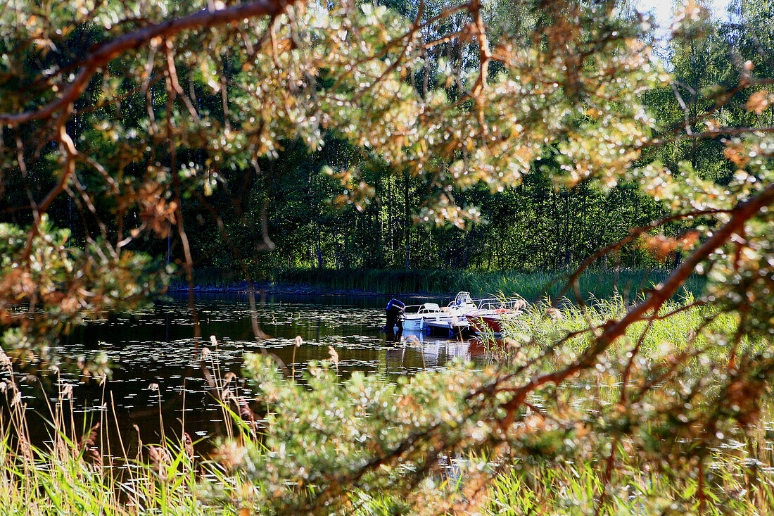 Motor boats at the shore of lake Saimaa in a sunlit bay, Saimaa Lake District, Finland, Europe