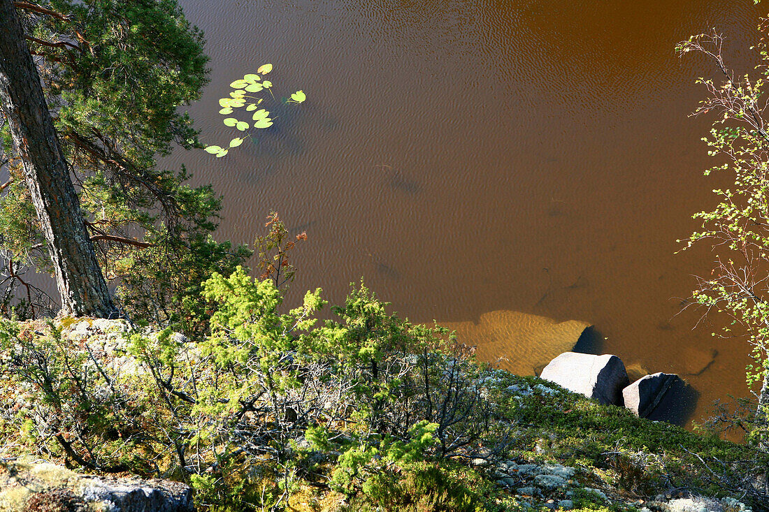 Ufer einer unbewohnten Insel im Sonnenlicht, Saimaa Seenplatte, Finnland, Europa
