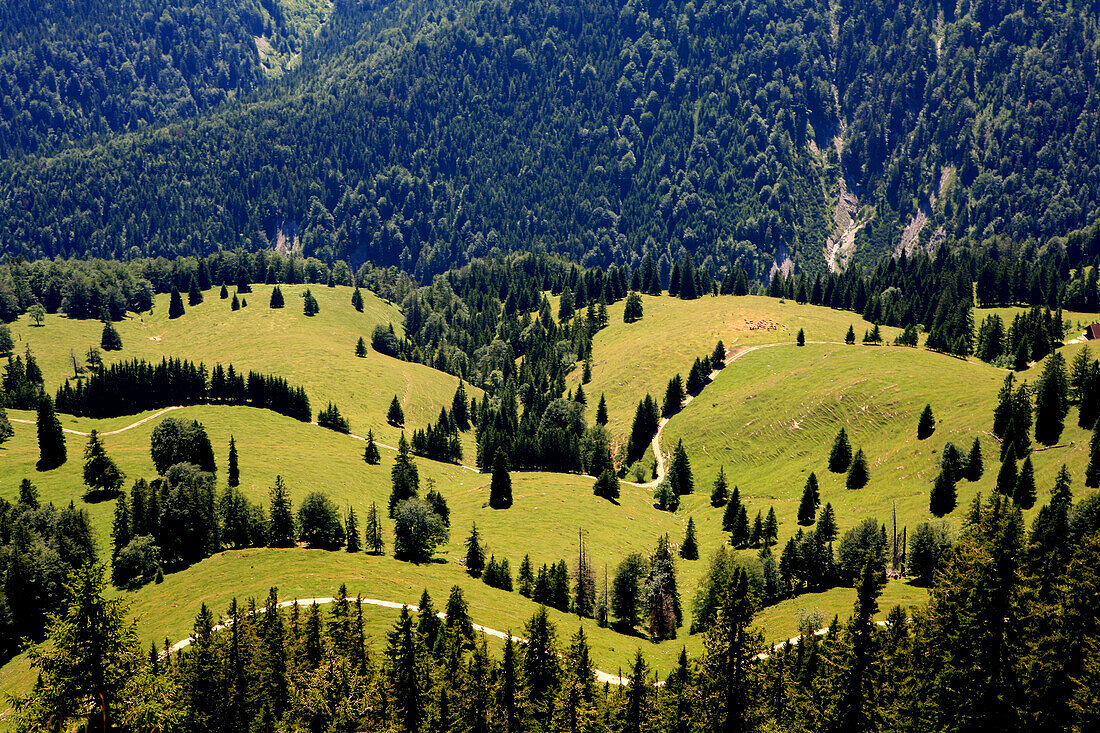 Blick in ein grünes Tal mit Nadelbäumen, Sudelfeld, Bayern, Deutschland