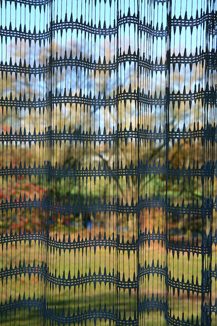 Blick durch Vorhang in den Garten eines Wohnhauses in Obermenzing, München, Bayern, Deutschland, Europa