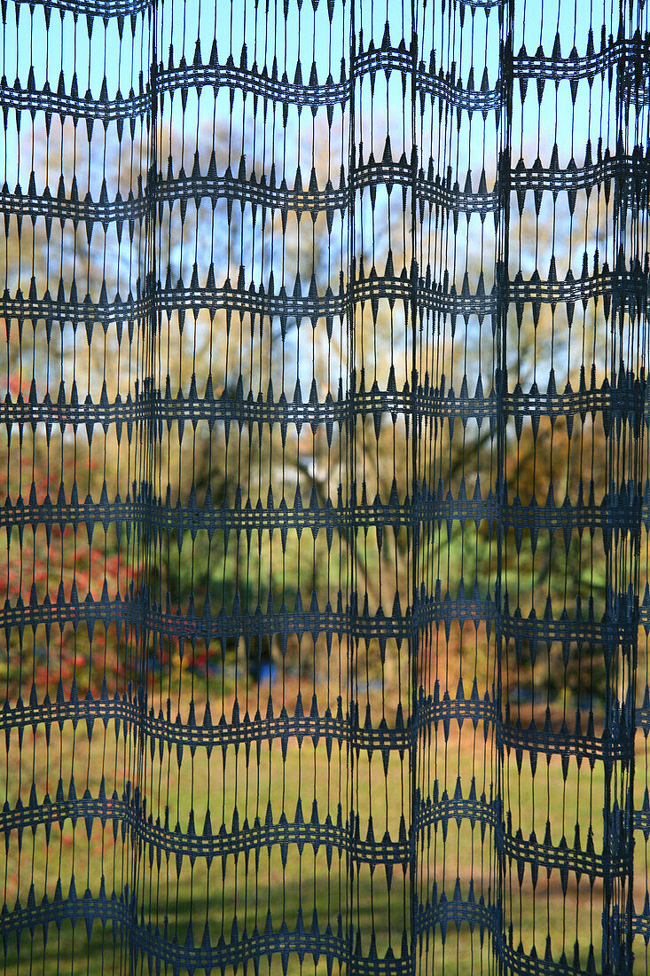 View through curtain at the garden of a residential house at Obermenzing, Munich, Bavaria, Germany, Europe