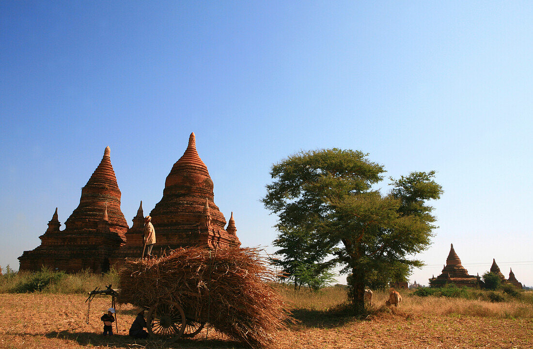 Bauernfamilie vor einem Tempel unter blauem Himmel, Bagan, Myanmar, Birma, Asien