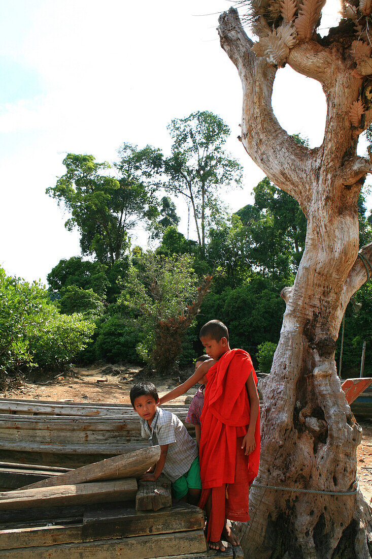 Seezigeuner, Moken Kinder und buddhistischer Novize an einem Baum, Mergui Archipel, Andamanensee, Myanmar, Birma, Asien