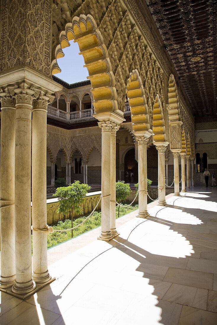 Patio de las Damas (Courtyard of the Maidens), Reales Alcazares, Sevilla. Andalucia, Spain