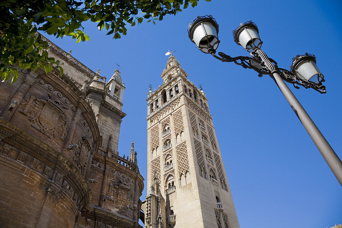 Giralda tower and Cathedral, Sevilla. Andalucia, Spain.