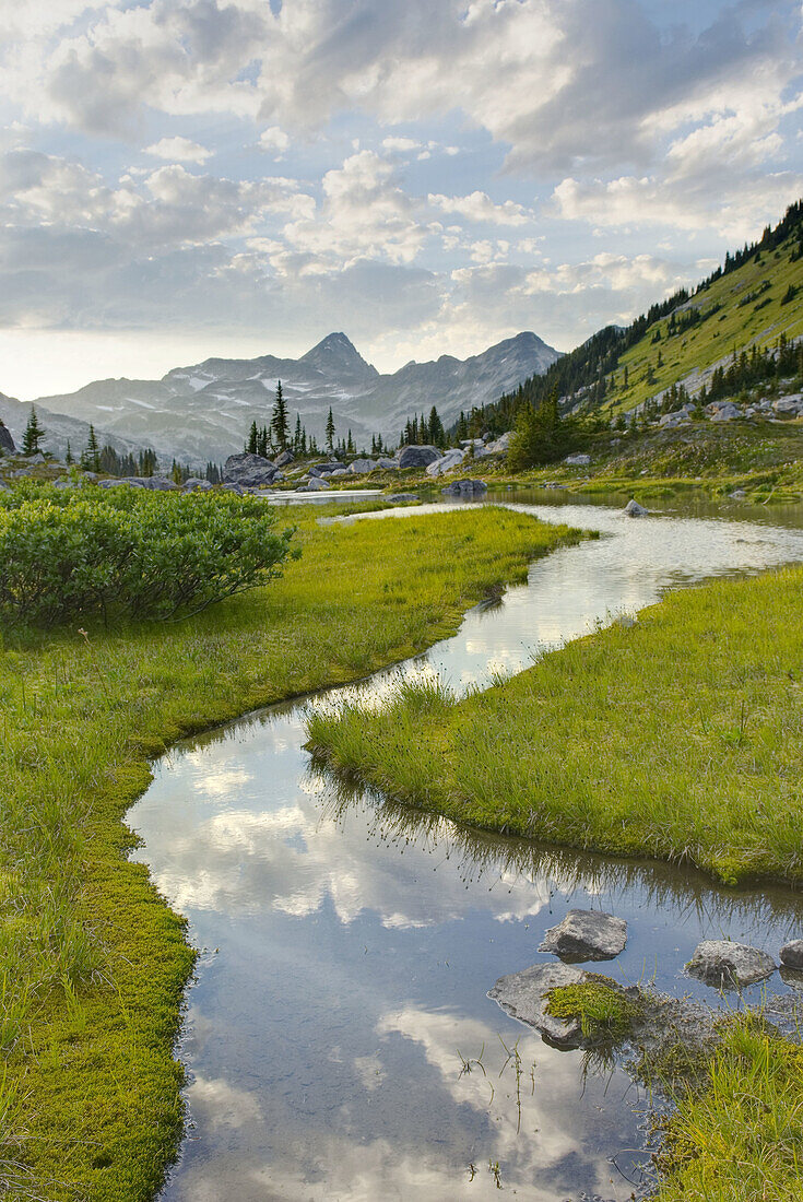 Eveing clouds reflected in stream flowing in an alpine basin of Mount Rohr, Coast Mountains British Columbia Canada