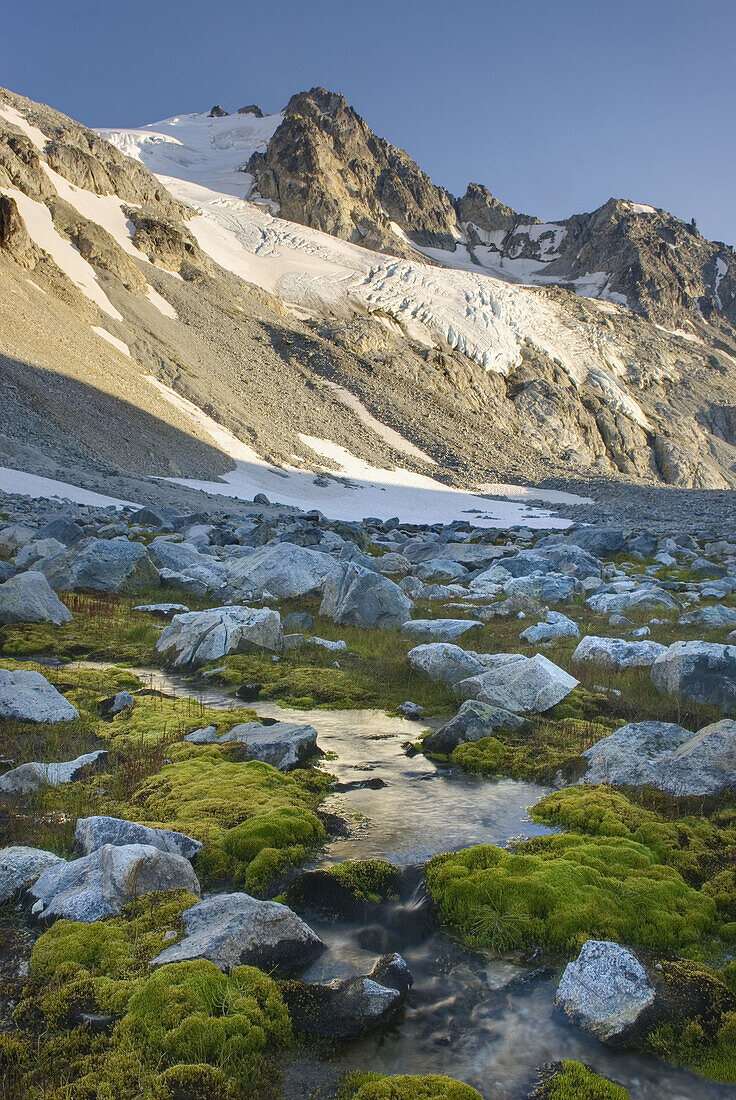 Glaciated Peaks of Boulder/Salal Divide with rocky meadows near Athelney Pass, Coast Range British Columbia Canada