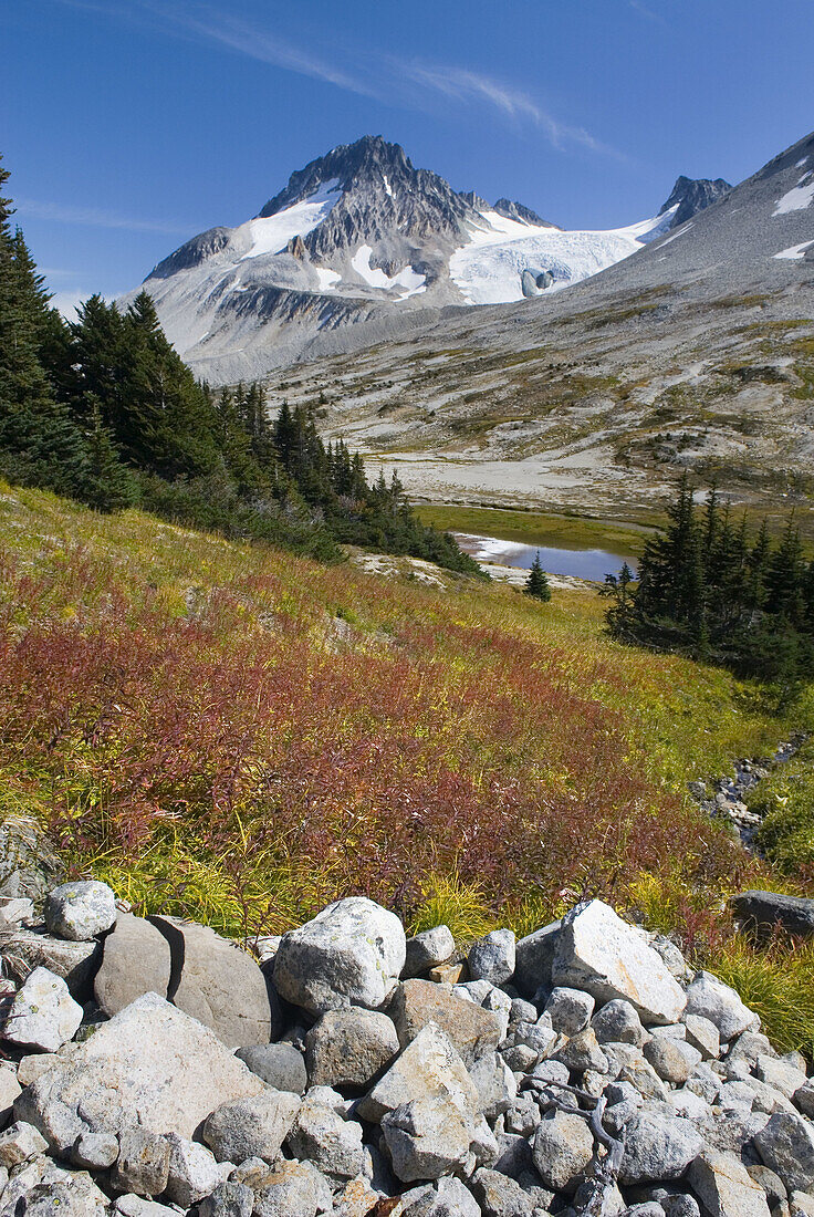 Late summer meadows below Ochre Mountain, Athelney Pass and Mount Ethelweard 2819 m 9249 ft are in the distance Coast Mountains British Columbia Canada