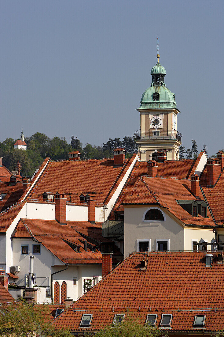 Maribor, old town, Cathedral Church of St John the Baptist, Slovenia